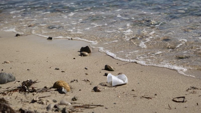 Ô nhiễm nhựa PS ở rìa biển. Ảnh: Viện Hải dương học Woods Hole.