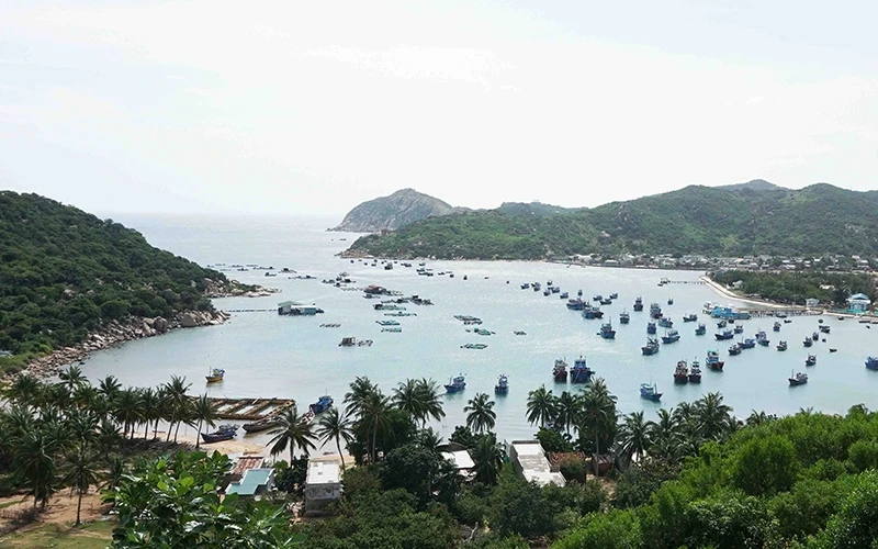 Vịnh Vĩnh Hy, một trong những vịnh đẹp nhất của Việt Nam, tỉnh Ninh Thuận đang triển khai phát triển nơi này thành khu du lịch đẳng cấp của quốc gia và khu vực.