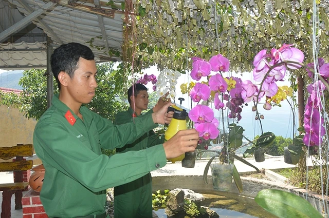 Chiến sĩ Tiểu đoàn Hỗn hợp 70 (Bộ CHQS tỉnh Quảng Nam) chăm sóc cây xanh.
