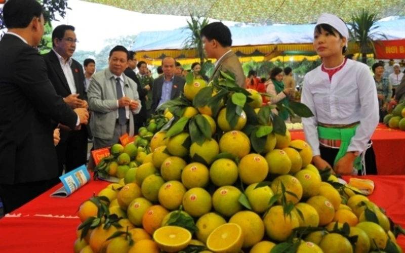 Lễ hội cây ăn quả có múi tỉnh Hòa Bình, Hội chợ nông nghiệp và sản phẩm OCOP khu vực phía bắc năm 2019 sẽ diễn ra từ ngày 1-11 đến 5-11 tại Trung tâm Hội chợ và Triển lãm tỉnh Hòa Bình.