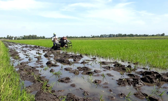Nông dân huyện Vĩnh Hưng (Long An) làm đất chuẩn bị sản xuất lúa vụ đông xuân. Ảnh: VĂN ĐÁT