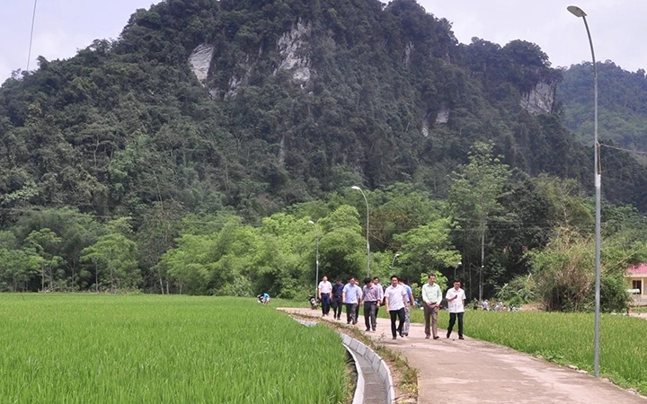 Giao thông nội đồng, kiên cố kênh, mương gắn với quy hoạch đồng ruộng ở xã Lăng Can, huyện Lâm Bình. 