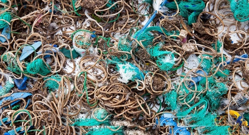 Dây thun và rác thải đánh bắt cá được thu thập từ phân chim trên đảo Mullion.