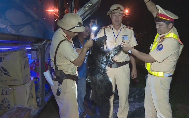 Lực lượng cảnh sát giao thông Công an tỉnh Đác Lắc phát hiện xe khách mang biển kiểm soát 82B-003.50 của nhà xe Tư Phầu chạy tuyến tỉnh Kon Tum đi TP Hồ Chí Minh chở nhiều động vật hoang dã