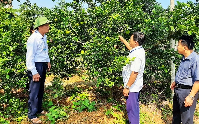 Tự nguyện viết đơn xin nghỉ trước tuổi nhưng đồng chí Lê Hữu Thống, Phó Bí thư Đảng ủy xã Thạch Tiến, huyện Thạch Hà, Hà Tĩnh (ngoài cùng bên trái) vẫn gắn bó với công việc chung.