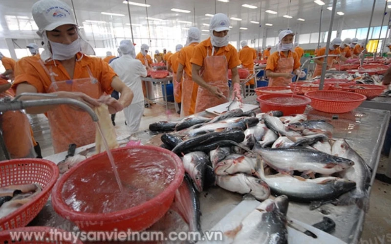 Bộ Nông nghiệp Hoa Kỳ đã chính thức công bố quyết định công nhận tương đương hệ thống kiểm soát an toàn thực phẩm cá da trơn của Việt Nam (ảnh: Thủy sản Việt Nam)