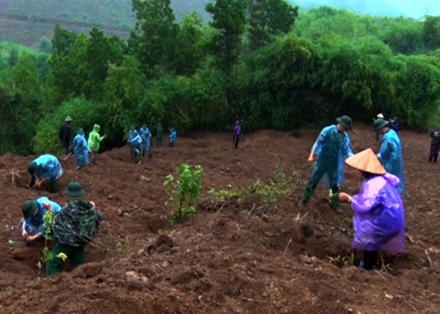 Cây Hông  Cây xóa đói giảm nghèo ở Hà Giang