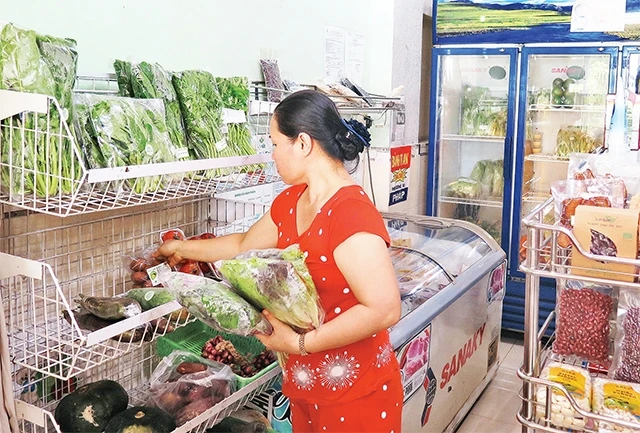 "Cửa hàng xanh" của chị Trần Thị Ngọc Mỹ (phường 10, quận 6) được hình thành từ vốn vay từ Ngân hàng Chính sách xã hội.