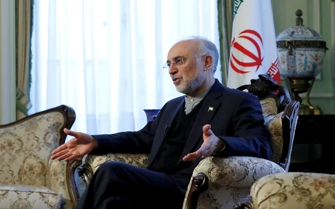 Người đứng đầu Cơ quan Năng lượng nguyên tử Iran Ali Akbar Salehi. (Ảnh: Reuters)
