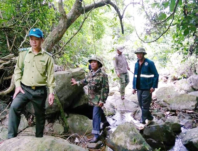 Tổ bảo vệ rừng của Công ty Long Ðại trong một chuyến kiểm tra rừng.