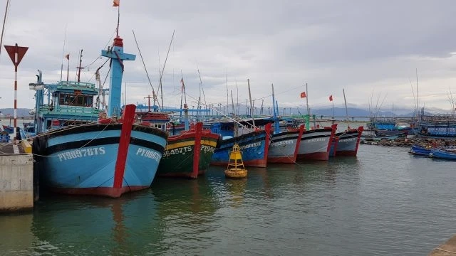  Các phương tiện tàu thuyền đánh bắt cá ngừ đại dương của ngư dân phường 6, thành phố Tuy Hòa đã vào nơi neo đậu an toàn.