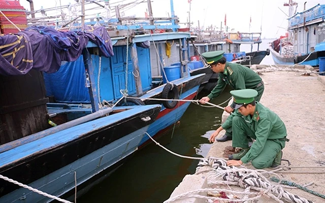 Cán bộ, chiến sĩ Hải đội 2, Bộ đội Biên phòng tỉnh Thừa Thiên Huế giúp ngư dân neo đậu tàu thuyền tránh bão số 6. Ảnh: THUẬN HÓA