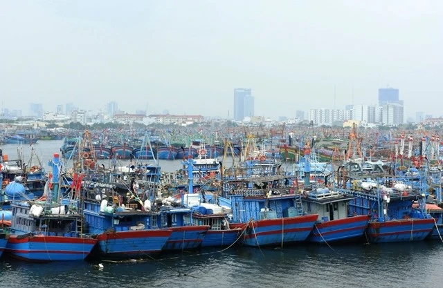 Hàng nghìn tàu cá đã về neo đậu tại âu thuyền tránh bão tại phường Thọ Quang (Đà Nẵng). (Ảnh: THANH TÙNG)