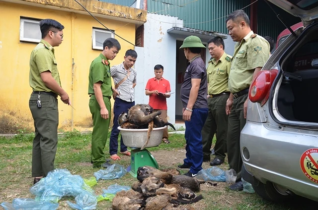 Phòng Cảnh sát môi trường bàn giao tang vật cho Chi cục Kiểm lâm tỉnh Điện Biên.
