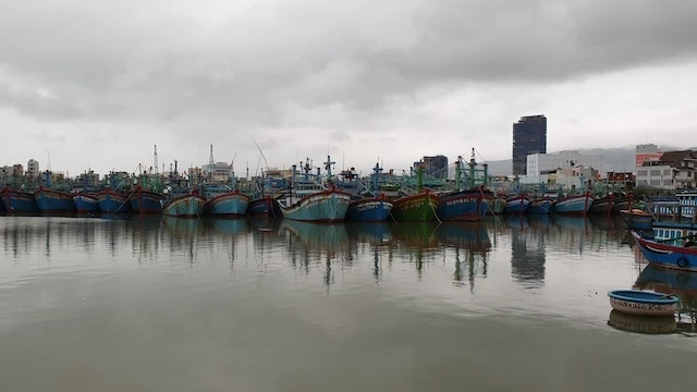 Hàng nghìn tàu cá của ngư dân đã tránh trú an toàn tại vịnh Quy Nhơn (Ảnh: Cát Hùng).