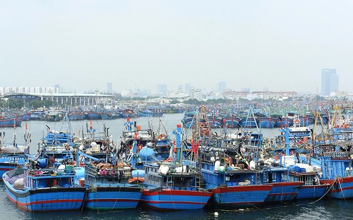 Hàng nghìn tàu cá neo đậu an toàn tại âu thuyền tránh bão Thọ Quang (Đà Nẵng). Ảnh: THANH TÙNG