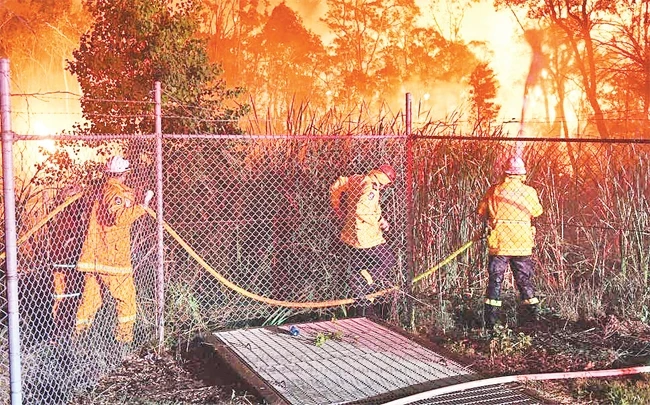 Lực lượng cứu hỏa dập đám cháy rừng ở bang Niu Xao Uên. Ảnh | EPA