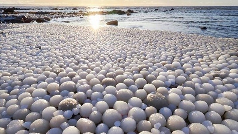 Hàng nghìn "quả trứng băng" dọc theo một bãi biển ở Phần Lan. Ảnh: Risto Mattila.