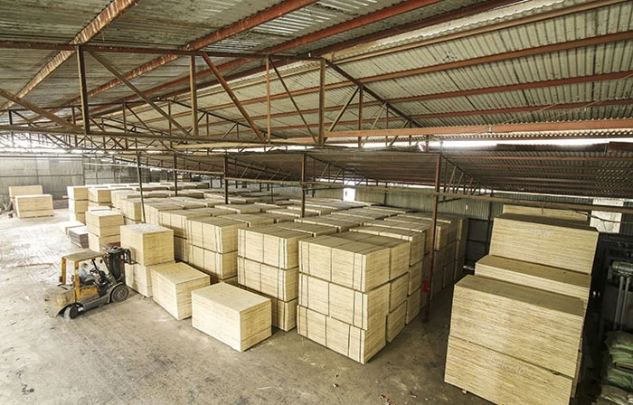 Quyết định tạm ngừng kinh doanh tạm nhập tái xuất gỗ dán sang Hoa Kỳ để phòng tránh gian lận về xuất xứ hàng hóa.
