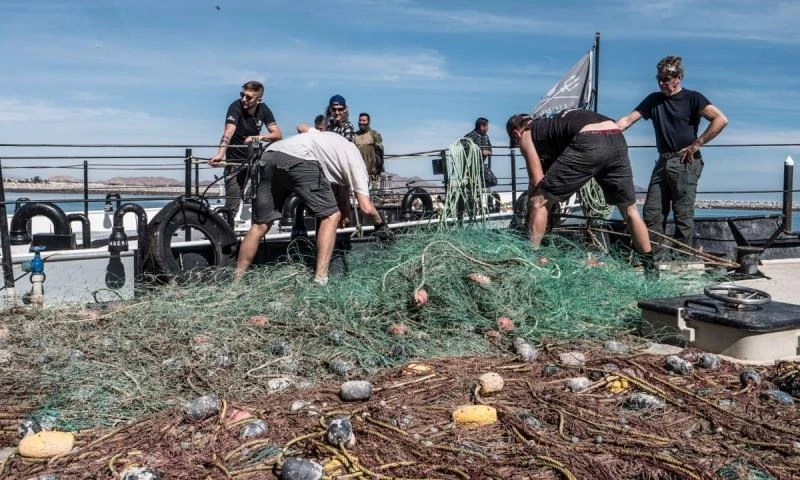 Rác từ lưới đánh cá có thể tiếp tục giết chết, làm vướng víu hoặc nghẹt thở sinh vật biển trong nhiều thập kỷ.