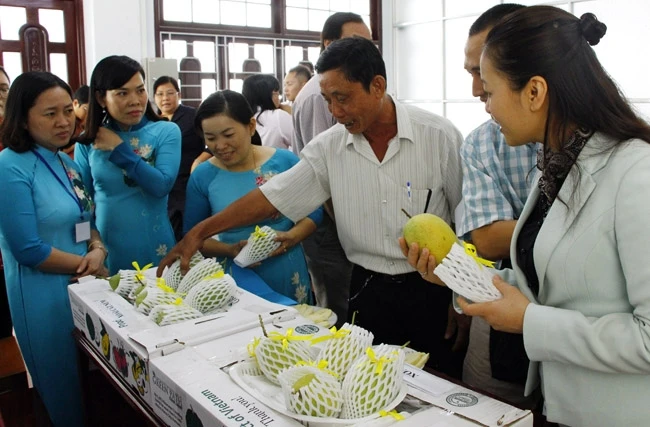 Những trái xoài Vĩnh Long được đánh giá cao về tiêu chuẩn, an toàn thực phẩm và chất lượng để xuất khẩu sang các thị trường khó tính.