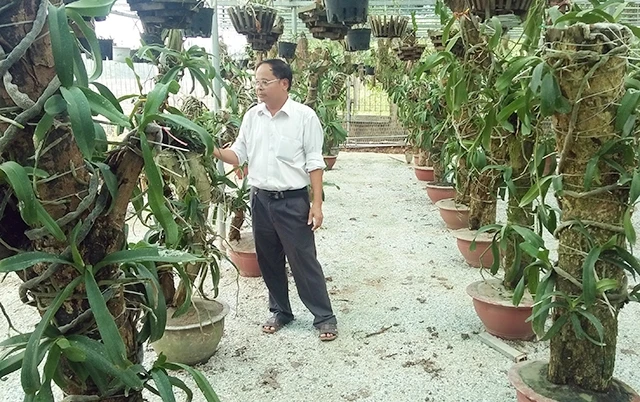 Trường đại học Nông lâm (Ðại học Thái Nguyên) đã thực hiện thành công dự án bảo tồn các loài lan rừng trên địa bàn tỉnh.
