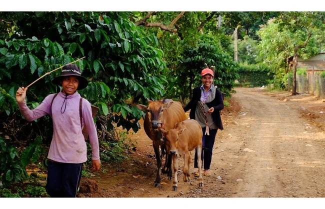 Hàng nghìn hộ dân của tỉnh Bình Phước được tiếp cận nguồn vốn chính sách để phát triển kinh tế gia đình.