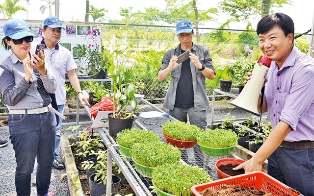 Hướng dẫn khách du lịch tìm hiểu về các sản phẩm nông nghiệp tại Khu Nông nghiệp công nghệ cao thành phố ở huyện Củ Chi.
