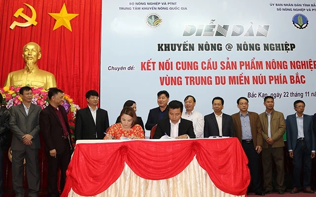 Đại diện Big C (bên phải) ký kết hợp đồng thương mại với Hợp tác xã của tỉnh Bắc Kạn.