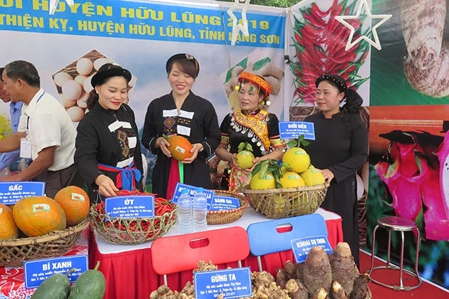 Hữu Lũng tổ chức Ngày hội hoa quả tươi năm 2019