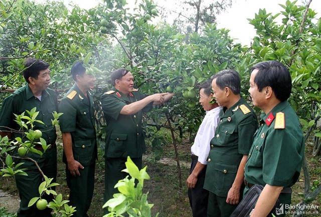 Lãnh đạo Hội Cựu chiến binh tỉnh Nghệ An tham quan mô hình trồng cam Xã Đoài cho thu nhập cao ở xã Nghi Diên, huyện Nghi Lộc.