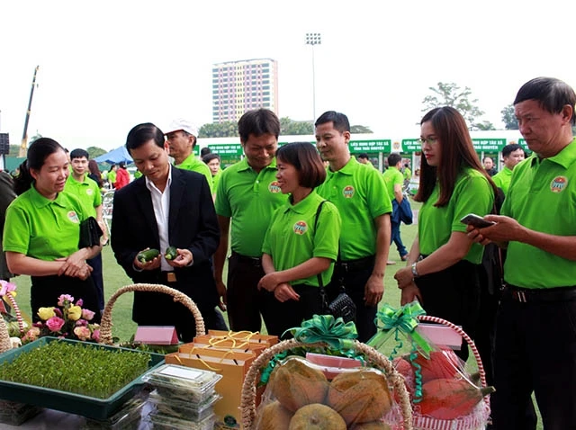 Nông sản an toàn được trưng bày tại lễ phát động sản xuất, kinh doanh nông sản thực phẩm an toàn của tỉnh Thái Nguyên.