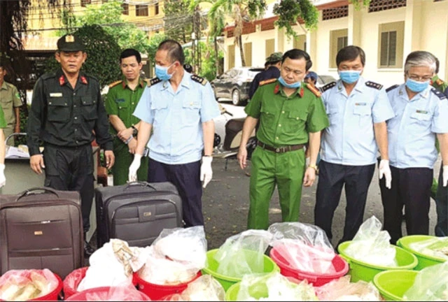 Hải quan Thành phố Hồ Chí Minh bắt giữ một vụ buôn bán, vận chuyển 500 kg ma túy hồi tháng 5-2019.