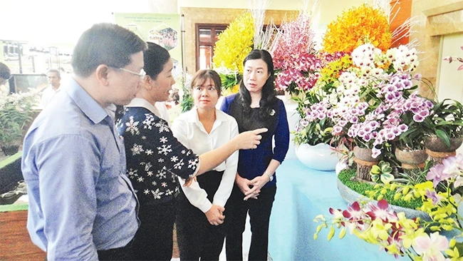 Ðại biểu tham quan các sản phẩm nông nghiệp tiêu biểu tại Triển lãm 10 năm xây dựng nông thôn mới ở TP Hồ Chí Minh.