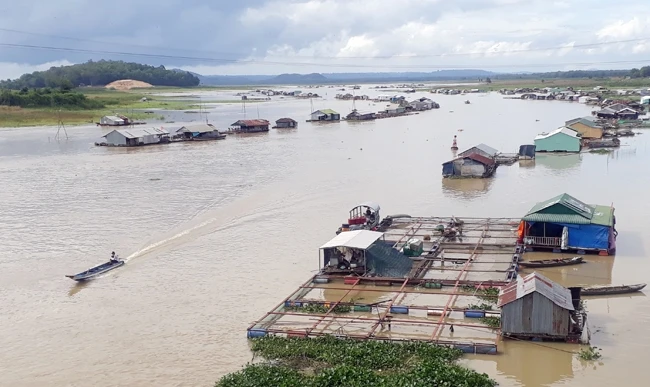 Nuôi thủy sản trên sông đoạn qua huyện Định Quán (Đồng Nai) gây ô nhiễm.