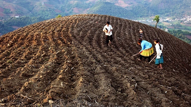 Mùa gieo hạt của một gia đình dân tộc H’Mông huyện Bắc Yên.