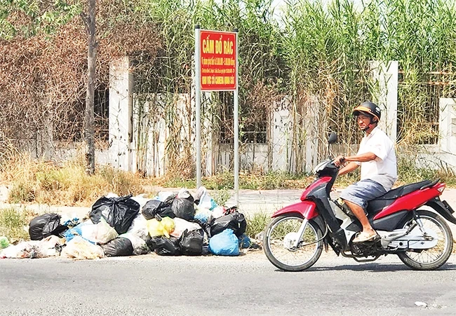 Không có xe thu gom rác, nhiều hộ dân khu vực nông thôn ở TP Cao Lãnh mang rác ra vứt ven đường.