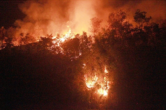 Hiện trường vụ cháy rừng tại xã Noong Luống (huyện Ðiện Biên, tỉnh Ðiện Biên). Ảnh: LAN PHƯƠNG