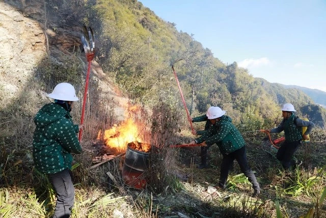 Vườn quốc gia Hoàng Liên và Sun World diễn tập phòng chống cháy rừng