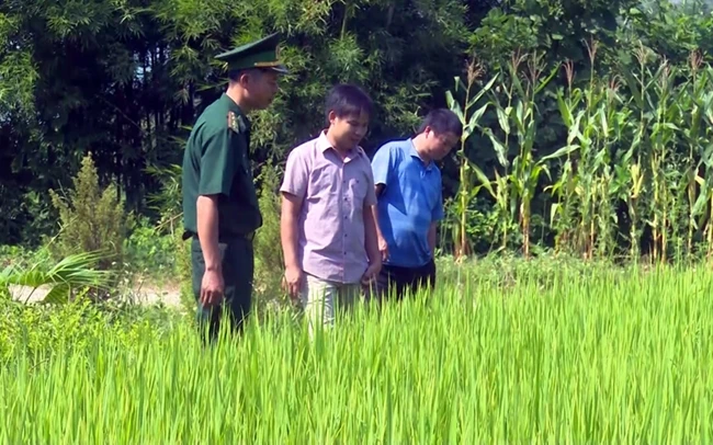 Bí thư Chi bộ kiêm Trưởng thôn Nà Sa, Bùi Xuân Chiều (đứng giữa) cùng Bộ đội Biên phòng trao đổi kinh nghiệm trồng lúa với người dân trong thôn.