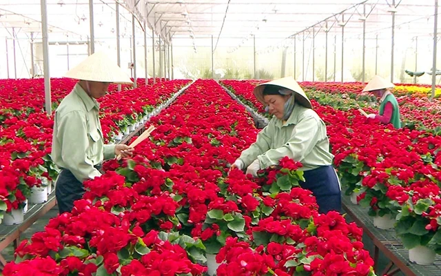 Mô hình trồng hoa công nghệ cao, góp phần thay đổi diện mạo nông thôn tỉnh Lâm Ðồng.