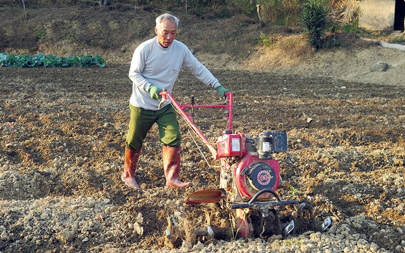 Người dân xã Quảng Lạc, TP Lạng Sơn làm đất để trồng ớt.