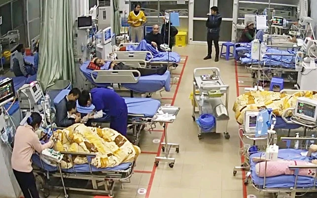 Các trường hợp bị chó lai cắn đang được điều trị tích cực tại Bệnh viện TƯ Thái Nguyên.