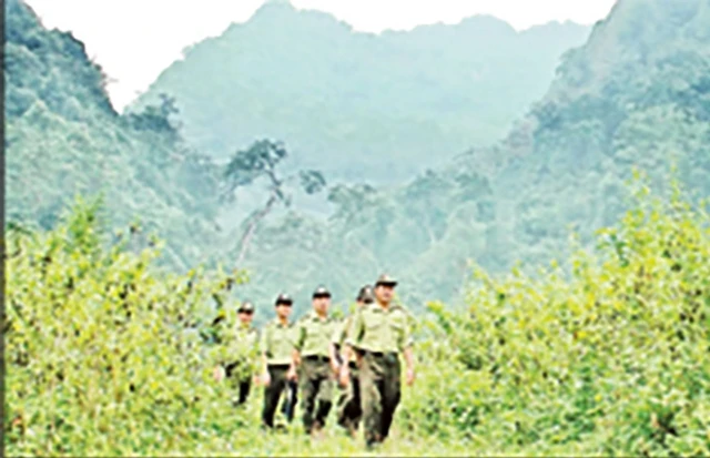 Lực lượng kiểm lâm Vườn quốc gia Cúc Phương tuần tra bảo vệ rừng.