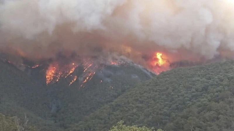 Các đám cháy rừng vẫn tiếp tục dữ dội khiến nhà chức trách bang NSW ban bố tình trạng khẩn cấp lần ba (Ảnh: AP)