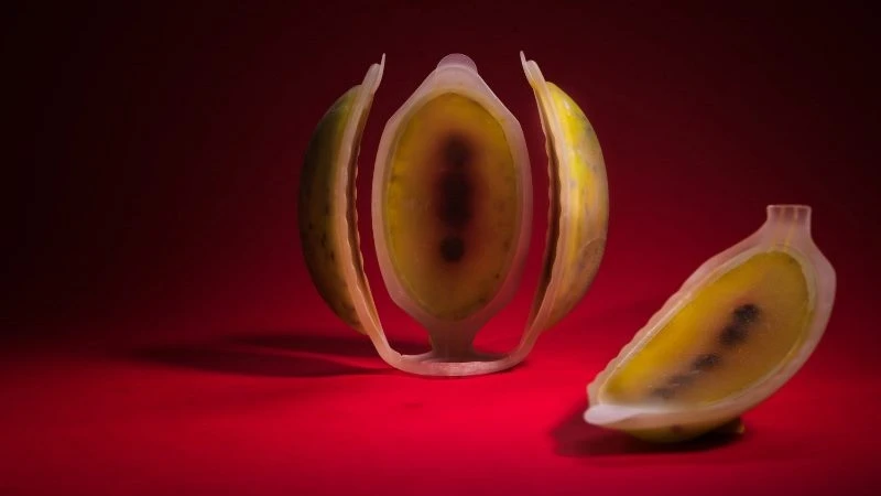 Trái cây nhân tạo ăn được in bằng công nghệ 4D