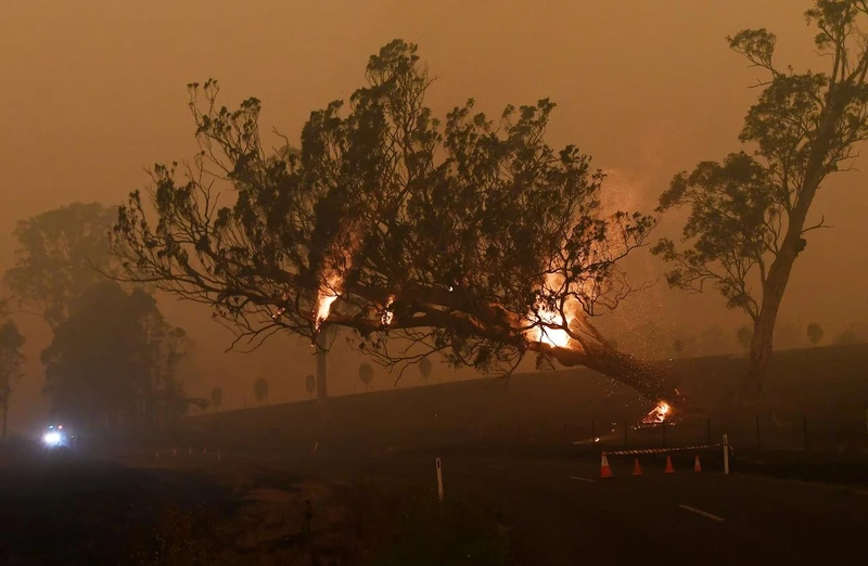 Khu vực Corbago, bang NSW vẫn nhuộm đỏ trong cháy rừng (Ảnh: REUTERS)