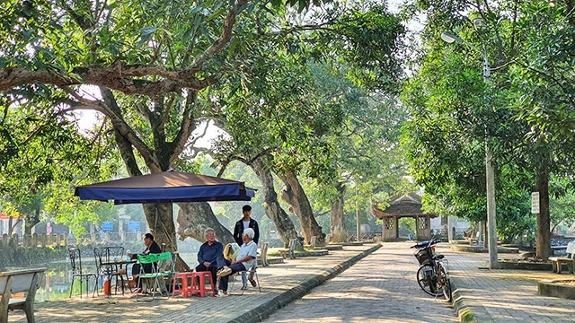 Những hàng cổ thụ trở thành góc quê hương thân thiết của người dân làng Bình Vọng. Ảnh: Hồng Sơn