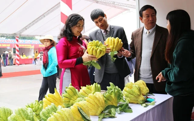 Lãnh đạo Sở Công thương Hà Nội tham quan gian hàng tại Hội chợ hàng hóa nông sản thực phẩm Tết Kỷ Hợi 2019.