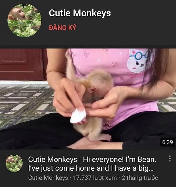 Hình ảnh nuôi nhốt khỉ của bà Dung được đăng tải trên Youtube 